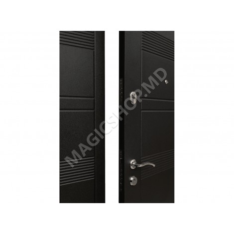 Наружная дверь Model 132(2050x1200x70mm)